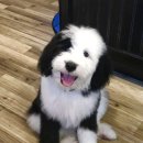 발롱(ballon) 이미지