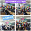 양지초등학교 | 재난안전전문강사 안전샘 조수연강사가 다녀온 찾아가는 재난안전교실 - 양지초등학교 교통안전 교육