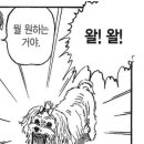 신운에너지 | 고생했어, 릴리스
