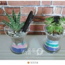 미니정원(테라리움) 이미지