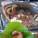 통보장어마을 - 화성시 | 통보장어마을