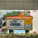 [템플스테이] 속세를 벗어나 간 곳에 산나물 페스티벌 뒤집어진 양평 용문사 템플스테이 후기🌿