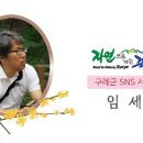 왕씨삼세충효정려 이미지
