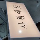 사월애꽃 이미지