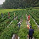 동천농장 이미지