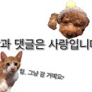 캘리포니아(전주맛집)
