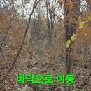 미련곰탱이 이미지