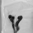 문정탑동물병원 이미지