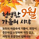 ☆ 사랑 사용 설명서 ☆ 이미지