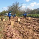 푸른솔생활학교 지역아동센터 이미지