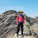 과천시청 이미지