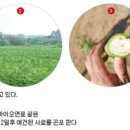 (주)팍스바이오 이미지