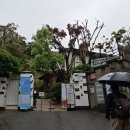 산책코스. &lt;박노수 미술관, 초소책방,용금옥, 산모퉁이&gt;