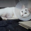 무양반려동물병원 이미지