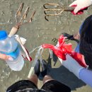 스마일 김밥카페 이미지