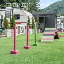 동반84글램핑 이미지