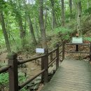 구천동 어사길 이미지