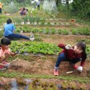 사창농장 이미지