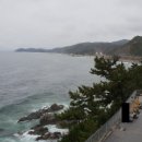 망양해돋이 이미지