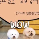 고더커피정관