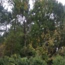 반송동232 이미지