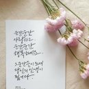 혼밥 하면서~ 이미지