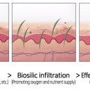 비바의원 이미지