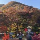 내장산국립공원화장실(제2주차장) 이미지