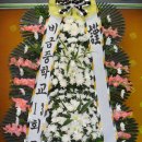 윤*선 - 안양시 동안구 학의로 390 | 윤*선