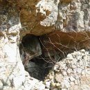 남해여자중학교 이미지