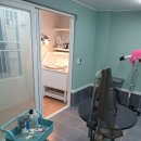 배츄네펫살롱 이미지