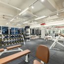 일산 식사동 MASS GYM 24년 상반기 트레이너 채용공고 ＜남/여/경력직/초보) 업계 최고 급여시스템! 이미지