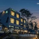 강릉댕댕이애견펜션블루 이미지