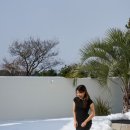 서유의섬 이미지