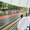 장미로38번길 | 26년 5월의 넷째주