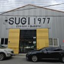 수기1977 이미지