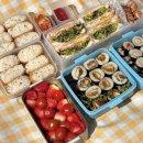 명당의 향기 | 인천대공원 벚꽃 명소 실시간 현황 피크닉 명당 명소 정리