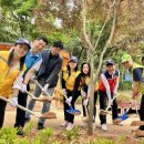 아산8호 이미지