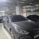 청정손세차장 | 겨울철 자동차관리 소나타 차량 대구 월세차 방문세차 하고왔어요