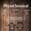 장원장 네이버블로그
