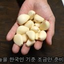 팔공막창 네이버블로그