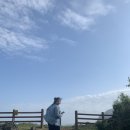 (주)성화이아이 | 난임일기 페마라정 두번째과배란유도 결과는[엘산부인과]