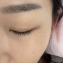 밤비나브로우&래쉬
