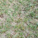 두타산농업회사법인 이미지