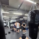 S복싱GYM 태장점 | 원주복싱 동호회 S복싱