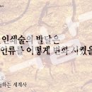 이미지텔링세계사-르네상스 시대는 어떻게 탄생했을까?교육자료 21탄 이미지