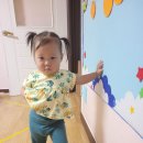 어흥어흥 이미지