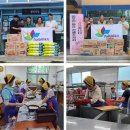 푼다리카 이미지