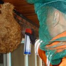 안면119안전센터 이미지