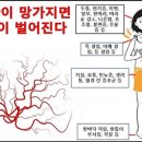 봄코리아(BOM KOREA)